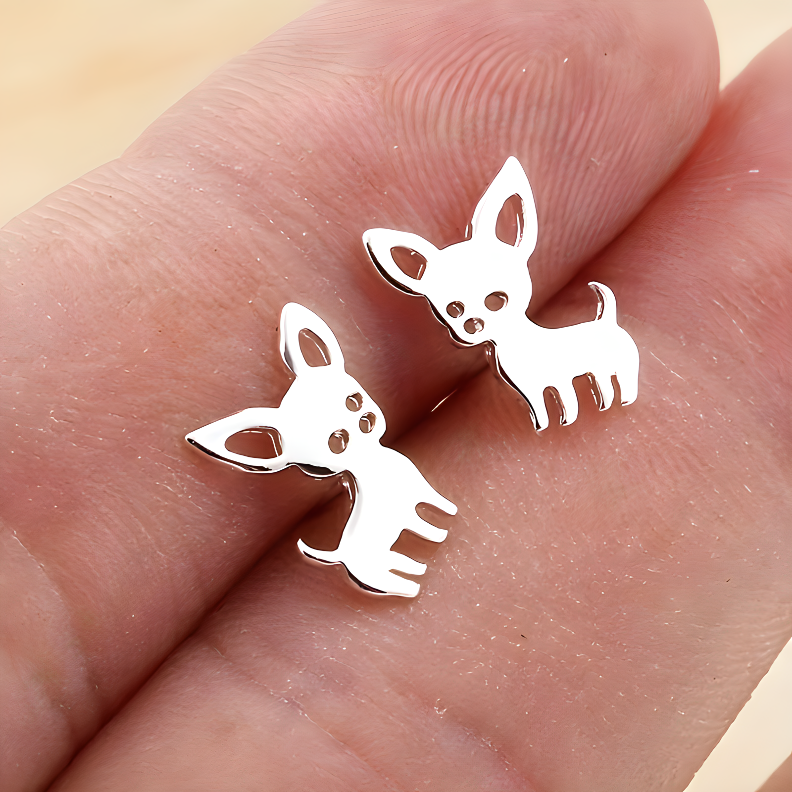 Aretes Chihuahua