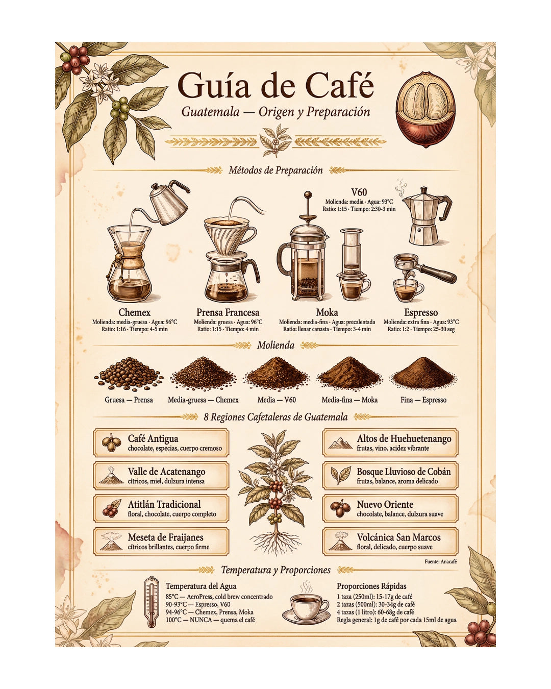 Póster Adhesivo de Barista – Guía de Café
