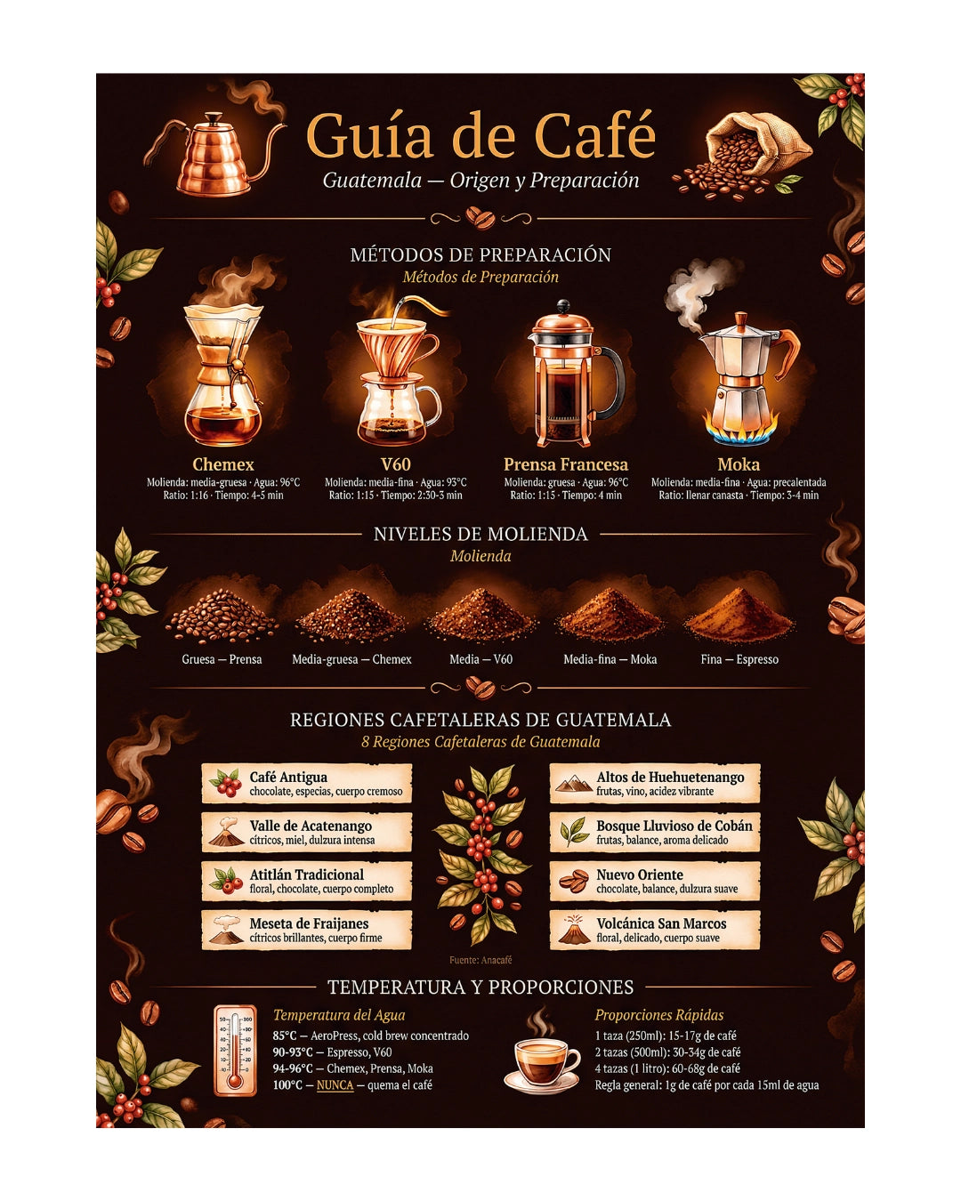 Póster Adhesivo de Barista – Guía de Café