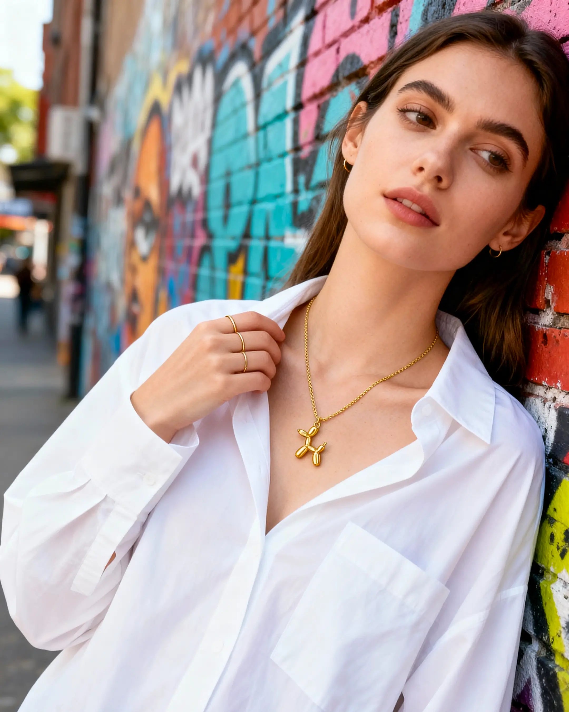 Collar Pawté – Elegancia de cuatro patas