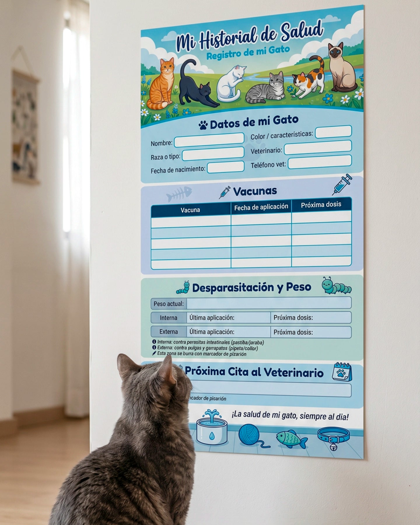 Historial de Salud Para Tu Gato – Gatitos y Adultos
