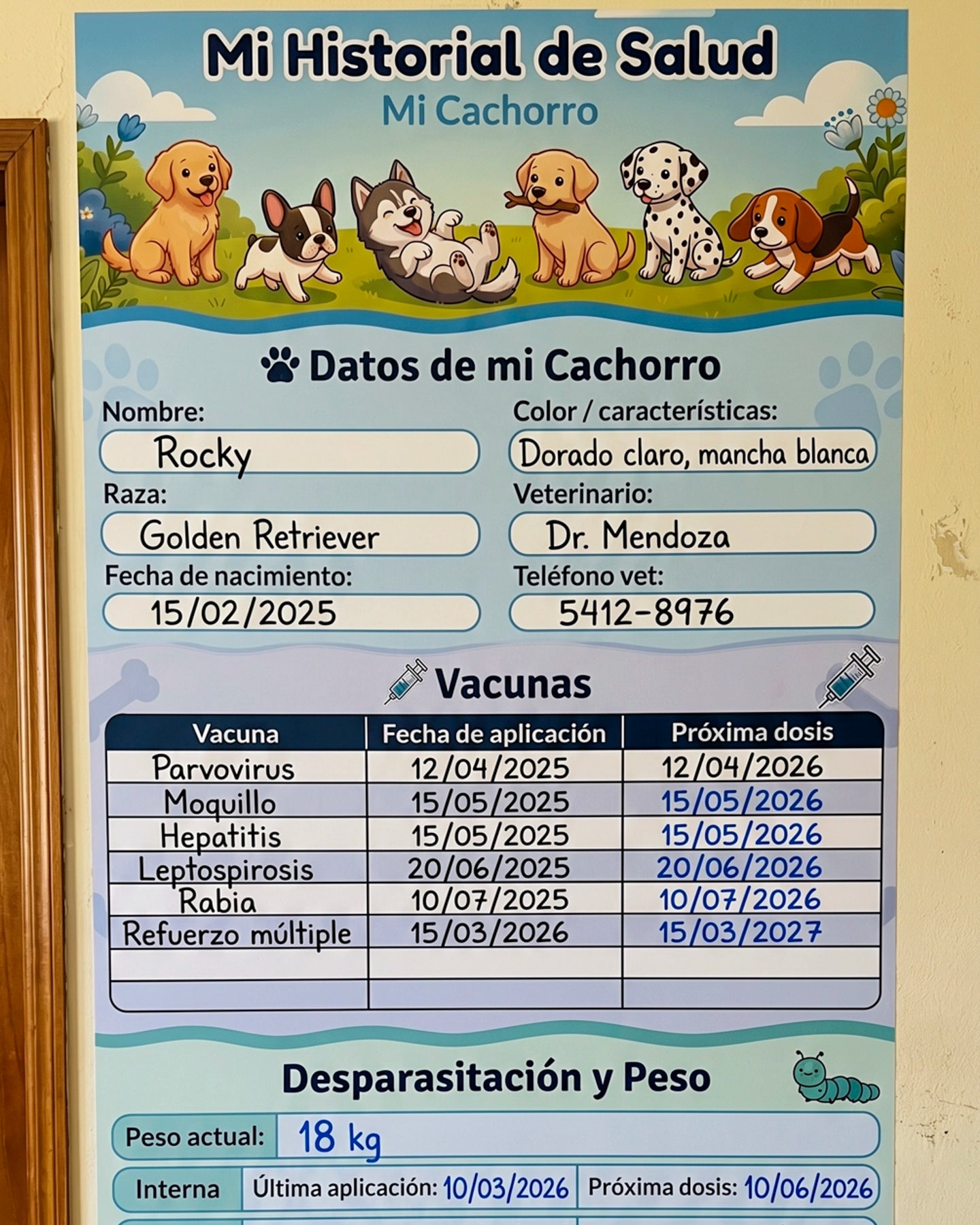Historial de Salud Para Tu Perro – Cachorros y Adultos