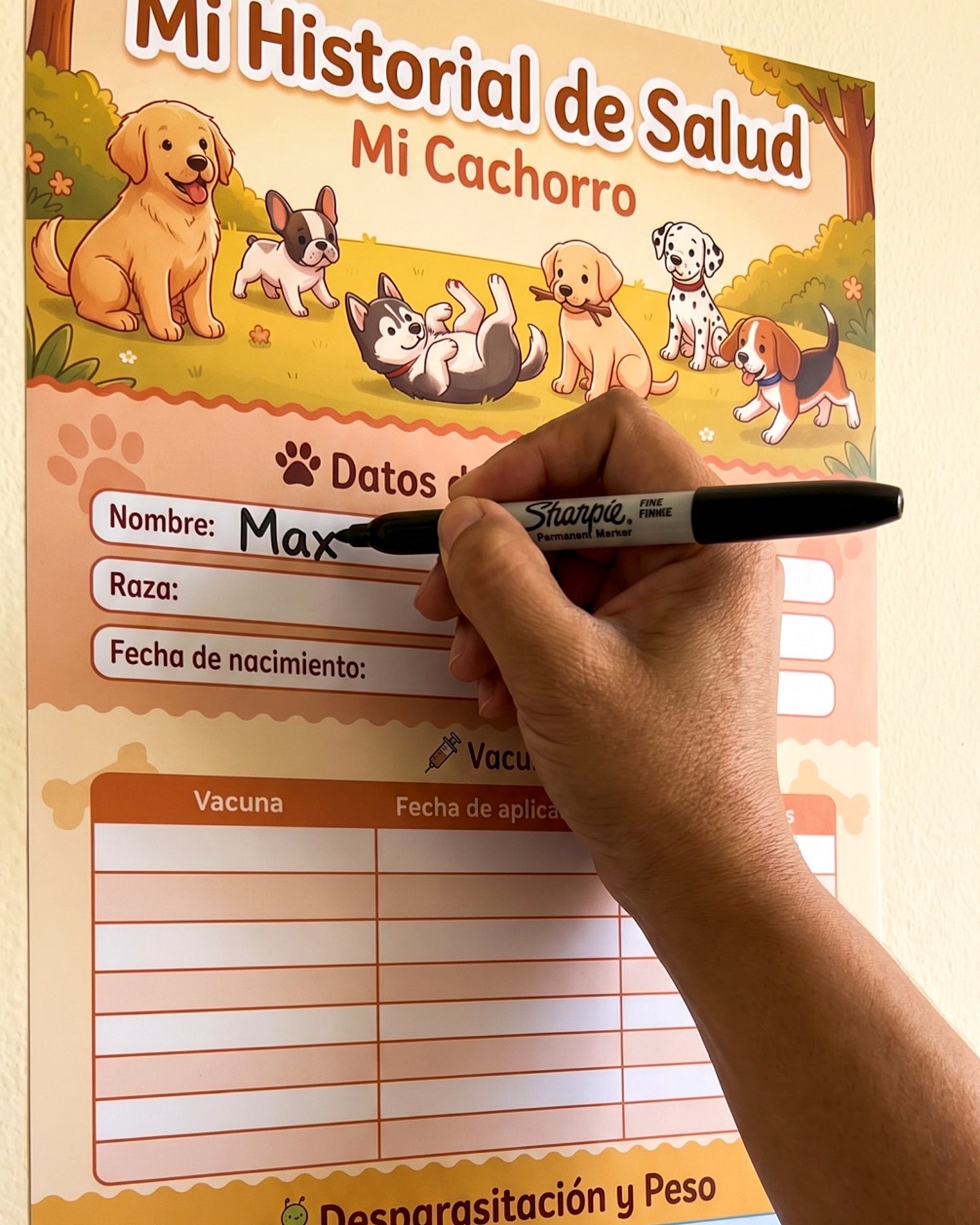Historial de Salud Para Tu Perro – Cachorros y Adultos