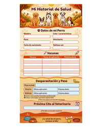Adulto Naranja