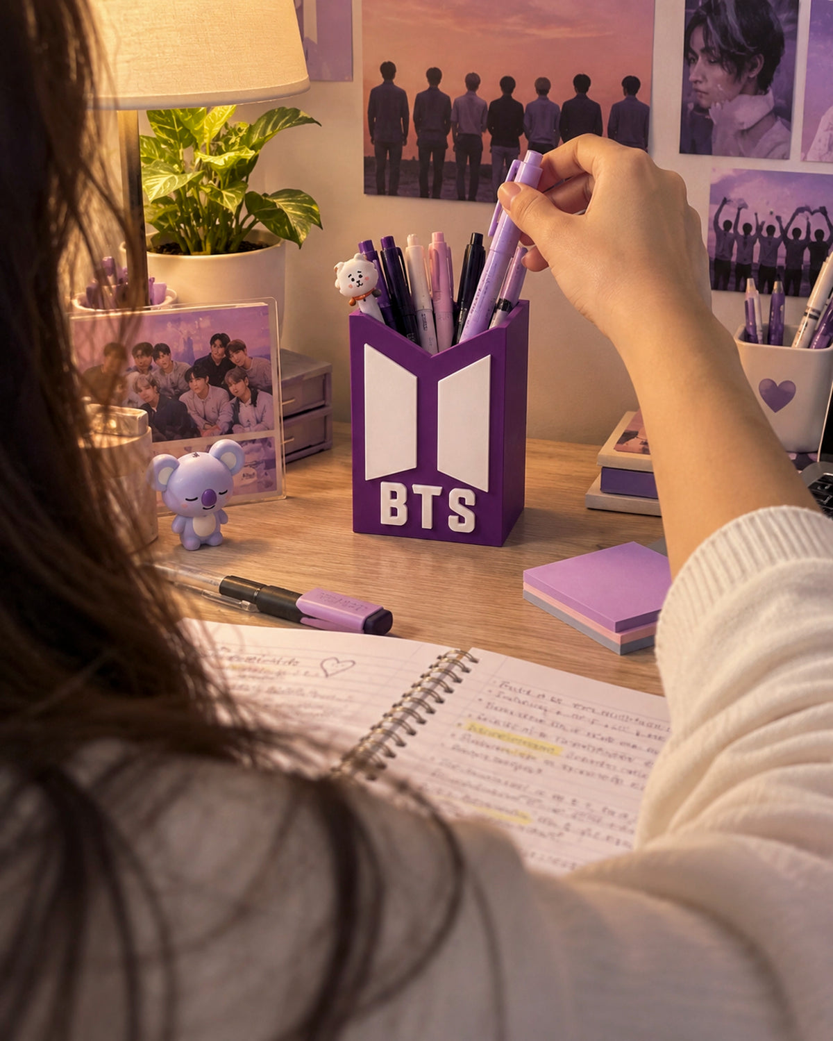 Organizador BTS