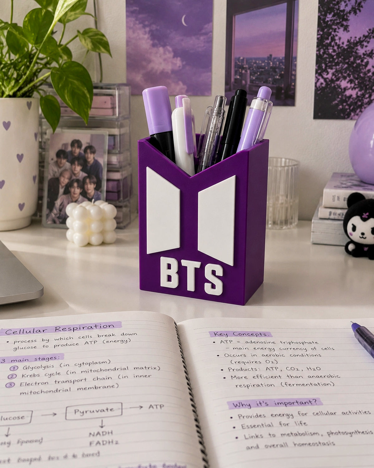 Organizador BTS