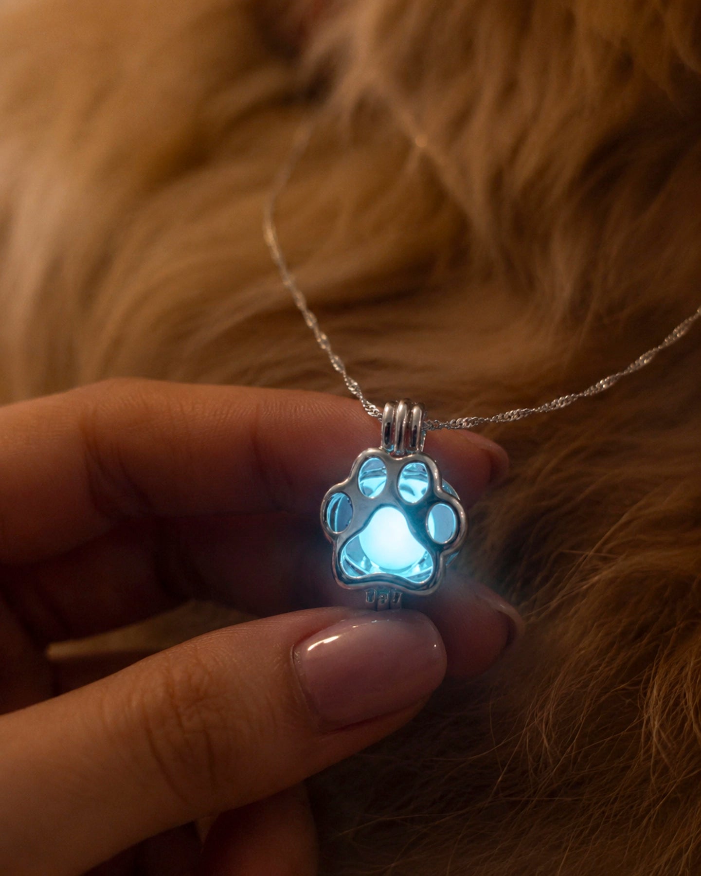 Collar Relicario – Huella Luminosa