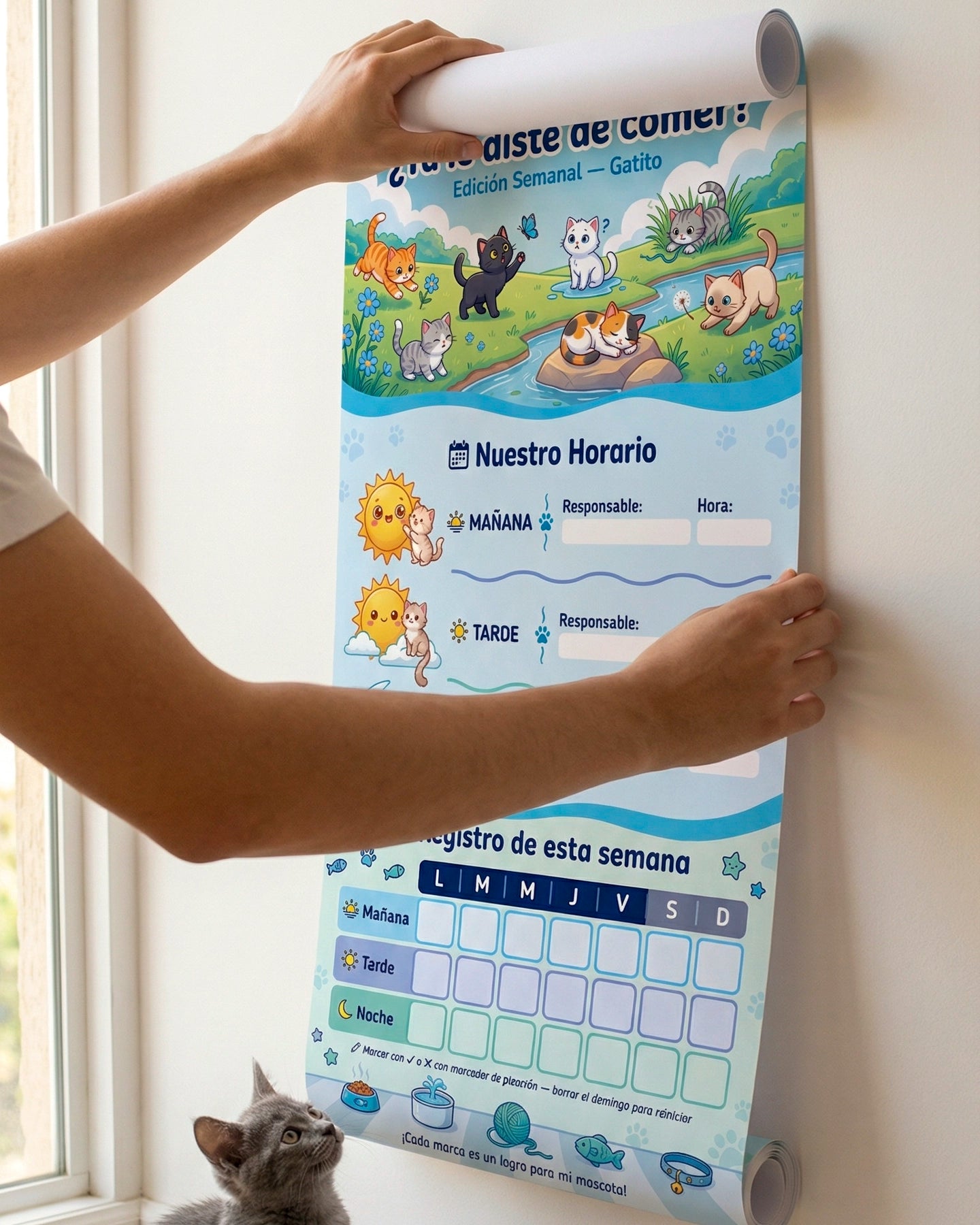 ¿Ya le diste de comer? – Horario Semanal para Gatos
