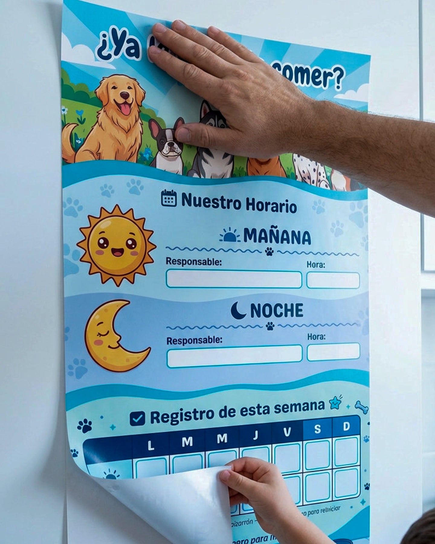 ¿Ya le diste de comer? – Horario Semanal para Perros