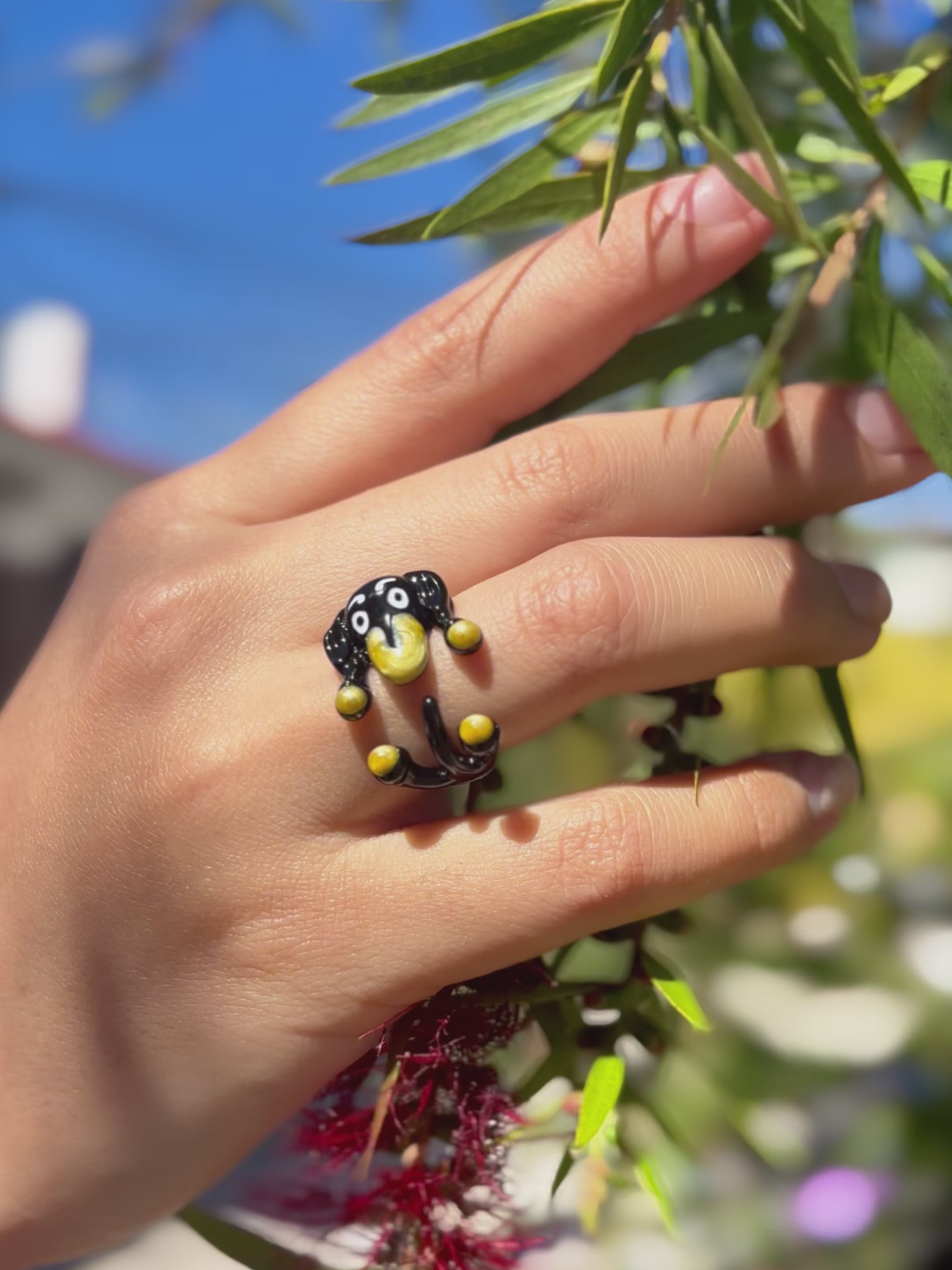 Anillo Cachorro