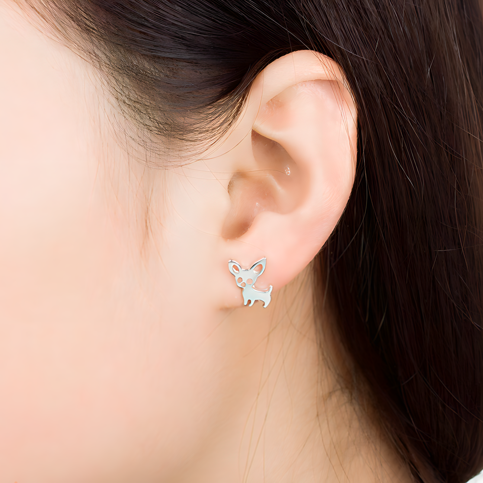 Aretes Chihuahua