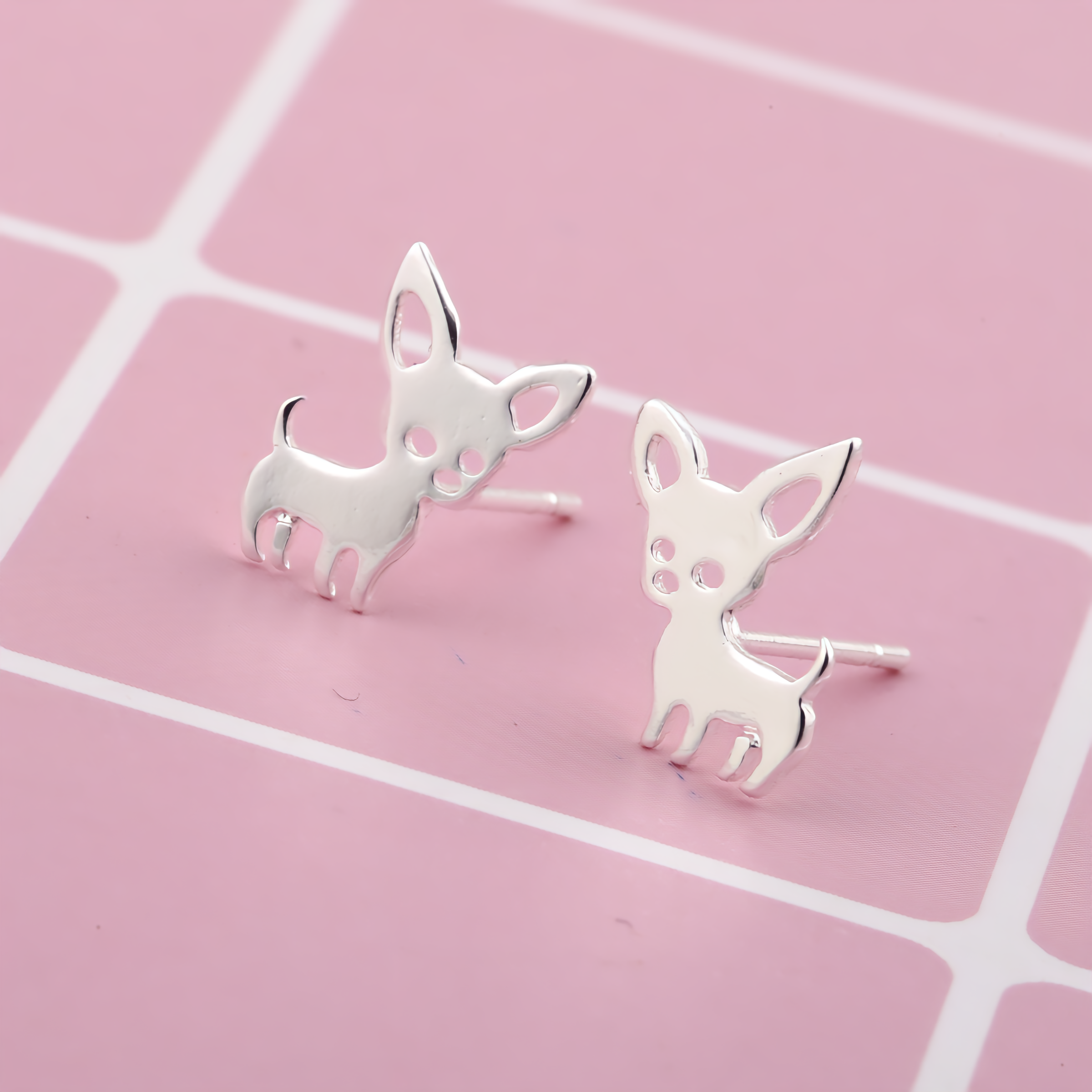 Aretes Chihuahua
